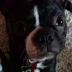 Meet your Posher, Meredith